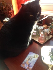 River and The Empress, from the Shadowscapes tarot.