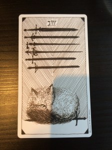 The Seven of Swords from the Wild Unknown tarot.